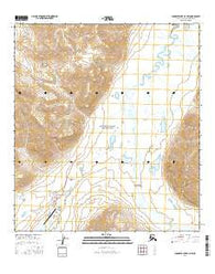 Chandler Lake A-3 NW Alaska Current topographic map, 1:25000 scale, 7.5 X 7.5 Minute, Year 2016