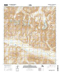 Chandler Lake A-4 NW Alaska Current topographic map, 1:25000 scale, 7.5 X 7.5 Minute, Year 2016
