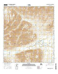Chandler Lake A-4 SW Alaska Current topographic map, 1:25000 scale, 7.5 X 7.5 Minute, Year 2016