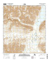 Chandler Lake A-5 NW Alaska Current topographic map, 1:25000 scale, 7.5 X 7.5 Minute, Year 2016