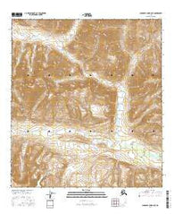 Chandler Lake A-5 SE Alaska Current topographic map, 1:25000 scale, 7.5 X 7.5 Minute, Year 2016