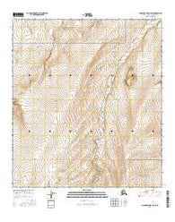 Chandler Lake B-5 NE Alaska Current topographic map, 1:25000 scale, 7.5 X 7.5 Minute, Year 2016