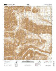 Chandler Lake B-5 SW Alaska Current topographic map, 1:25000 scale, 7.5 X 7.5 Minute, Year 2016