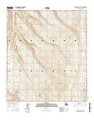 Chandler Lake C-3 SW Alaska Current topographic map, 1:25000 scale, 7.5 X 7.5 Minute, Year 2016