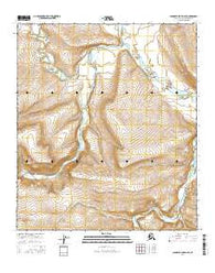 Chandler Lake D-4 SE Alaska Current topographic map, 1:25000 scale, 7.5 X 7.5 Minute, Year 2016
