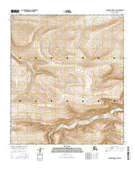 Chandler Lake D-4 SW Alaska Current topographic map, 1:25000 scale, 7.5 X 7.5 Minute, Year 2016
