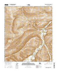 Chandler Lake D-5 NE Alaska Current topographic map, 1:25000 scale, 7.5 X 7.5 Minute, Year 2016