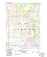 Chignik A-3 Alaska Historical topographic map, 1:63360 scale, 15 X 15 Minute, Year 1963