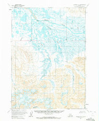 Chignik C-2 Alaska Historical topographic map, 1:63360 scale, 15 X 15 Minute, Year 1963