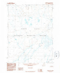Christian A-2 Alaska Historical topographic map, 1:63360 scale, 15 X 15 Minute, Year 1990