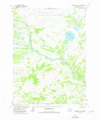 Christian D-1 Alaska Historical topographic map, 1:63360 scale, 15 X 15 Minute, Year 1973