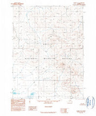 Coleen C-2 Alaska Historical topographic map, 1:63360 scale, 15 X 15 Minute, Year 1990