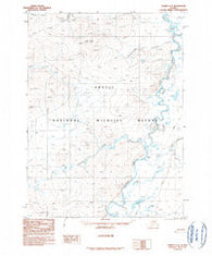 Coleen C-4 Alaska Historical topographic map, 1:63360 scale, 15 X 15 Minute, Year 1990