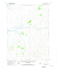 Coleen D-2 Alaska Historical topographic map, 1:63360 scale, 15 X 15 Minute, Year 1972