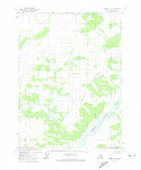 Coleen D-6 Alaska Historical topographic map, 1:63360 scale, 15 X 15 Minute, Year 1972