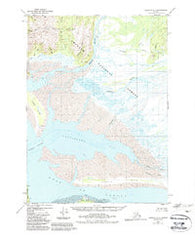 Cordova A-1 Alaska Historical topographic map, 1:63360 scale, 15 X 15 Minute, Year 1950