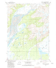 Cordova C-4 SW Alaska Historical topographic map, 1:25000 scale, 7.5 X 7.5 Minute, Year 1983