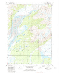 Cordova C-4 SW Alaska Historical topographic map, 1:25000 scale, 7.5 X 7.5 Minute, Year 1983