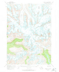 Cordova D-5 Alaska Historical topographic map, 1:63360 scale, 15 X 15 Minute, Year 1950
