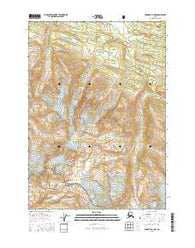 Cordova D-1 NW Alaska Current topographic map, 1:25000 scale, 7.5 X 7.5 Minute, Year 2016
