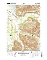 Cordova D-2 SE Alaska Current topographic map, 1:25000 scale, 7.5 X 7.5 Minute, Year 2014