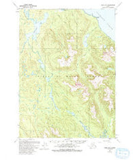 Craig D-3 Alaska Historical topographic map, 1:63360 scale, 15 X 15 Minute, Year 1949