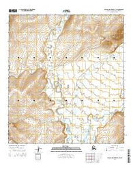 De Long Mountains A-4 SW Alaska Current topographic map, 1:25000 scale, 7.5 X 7.5 Minute, Year 2014