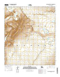 De Long Mountains C-2 NW Alaska Current topographic map, 1:25000 scale, 7.5 X 7.5 Minute, Year 2014