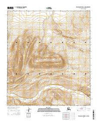De Long Mountains C-2 SW Alaska Current topographic map, 1:25000 scale, 7.5 X 7.5 Minute, Year 2014