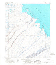Demarcation Point D-3 Alaska Historical topographic map, 1:63360 scale, 15 X 15 Minute, Year 1955