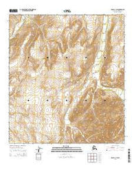 Denali C-1 SW Alaska Current topographic map, 1:25000 scale, 7.5 X 7.5 Minute, Year 2015