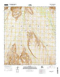 Denali D-1 SE Alaska Current topographic map, 1:25000 scale, 7.5 X 7.5 Minute, Year 2015