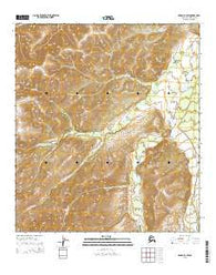 Denali D-1 SW Alaska Current topographic map, 1:25000 scale, 7.5 X 7.5 Minute, Year 2015