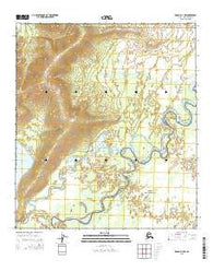 Denali D-3 NW Alaska Current topographic map, 1:25000 scale, 7.5 X 7.5 Minute, Year 2015
