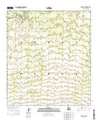 Denali D-3 SW Alaska Current topographic map, 1:25000 scale, 7.5 X 7.5 Minute, Year 2015