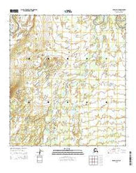 Denali D-4 SE Alaska Current topographic map, 1:25000 scale, 7.5 X 7.5 Minute, Year 2015