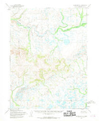 Dillingham C-1 Alaska Historical topographic map, 1:63360 scale, 15 X 15 Minute, Year 1954