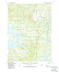 Dillingham C-7 Alaska Historical topographic map, 1:63360 scale, 15 X 15 Minute, Year 1954