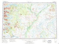 Dillingham Alaska Historical topographic map, 1:250000 scale, 1 X 3 Degree, Year 1954