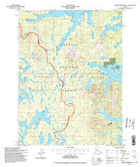 Dixon Entrance D-1 Alaska Historical topographic map, 1:63360 scale, 15 X 15 Minute, Year 1994