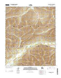 Fairbanks D-3 NE Alaska Current topographic map, 1:25000 scale, 7.5 X 7.5 Minute, Year 2013