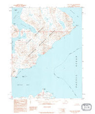 False Pass D-4 Alaska Historical topographic map, 1:63360 scale, 15 X 15 Minute, Year 1995