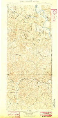 Fortymile Alaska Historical topographic map, 1:250000 scale, 1 X 1 Degree, Year 1899