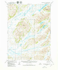 Goodnews Bay B-5 Alaska Historical topographic map, 1:63360 scale, 15 X 15 Minute, Year 1979