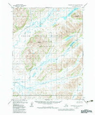 Goodnews Bay B-5 Alaska Historical topographic map, 1:63360 scale, 15 X 15 Minute, Year 1979