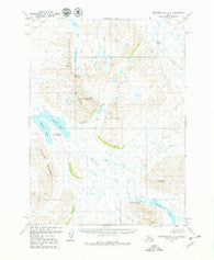 Goodnews Bay D-3 Alaska Historical topographic map, 1:63360 scale, 15 X 15 Minute, Year 1979