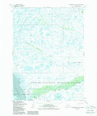 Goodnews Bay D-8 Alaska Historical topographic map, 1:63360 scale, 15 X 15 Minute, Year 1954