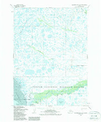 Goodnews Bay D-8 Alaska Historical topographic map, 1:63360 scale, 15 X 15 Minute, Year 1954