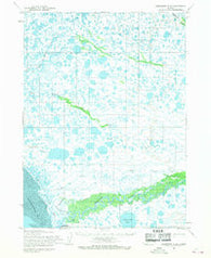 Goodnews D-8 Alaska Historical topographic map, 1:63360 scale, 15 X 15 Minute, Year 1954