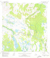 Gulkana C-4 Alaska Historical topographic map, 1:63360 scale, 15 X 15 Minute, Year 1950